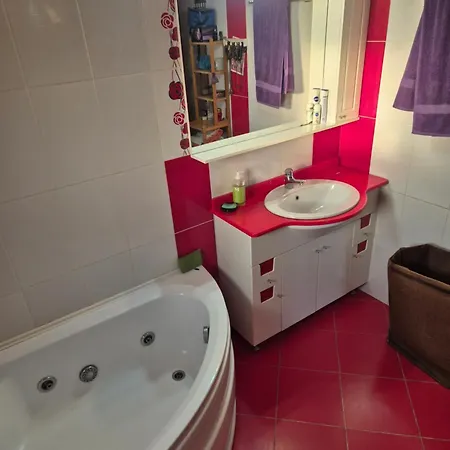 Raisa House * Craiova