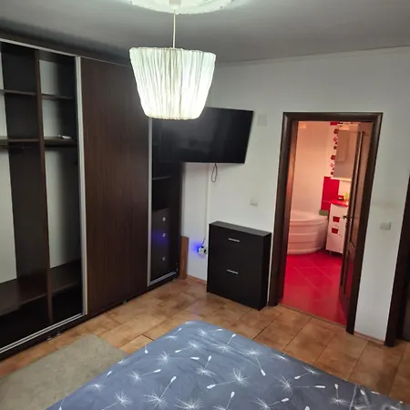 Raisa House * Craiova
